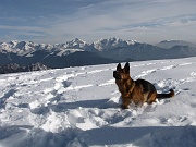 Salita invernale dai Piani al MONTE AVARO (2088 m.) il 24 gennaio 2009 - FOTOGALLERY